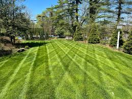 Landscape Design Project