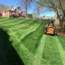 Lawn Maintenance Project