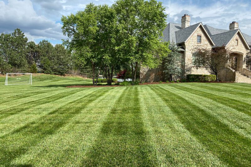 Lawn Maintenance example 1