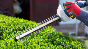 Shurb Trimming example 4